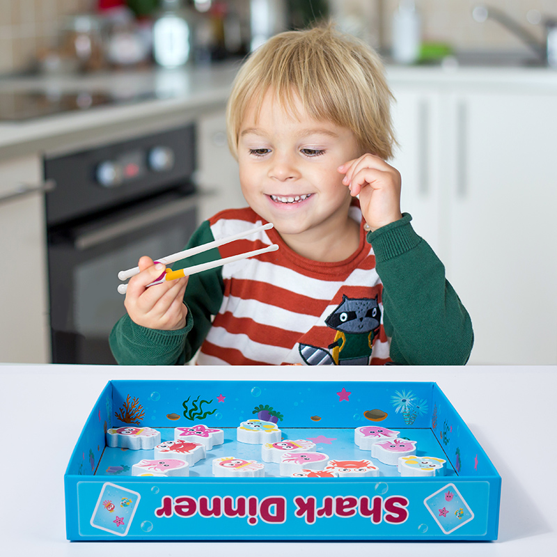 Kinderen Dier Vorm Bijpassende - Kids Educational Game 3 recensie en prijs